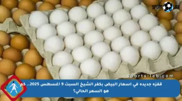 قفزة جديدة في أسعار البيض بكفر الشيخ السبت 9 أغسطس 2025.. كم هو السعر الحالي؟
